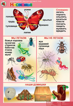 Насекомые
