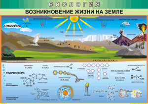 Возникновение жизни на земле