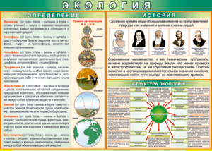 Определение, история,