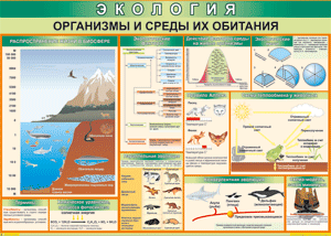 Организмы и среды их обитания 