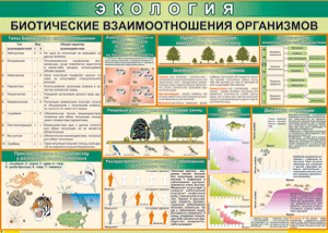 Биотические взаимоотношения организмов