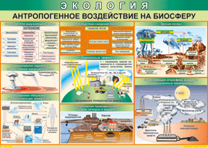 Антропогенное воздействие